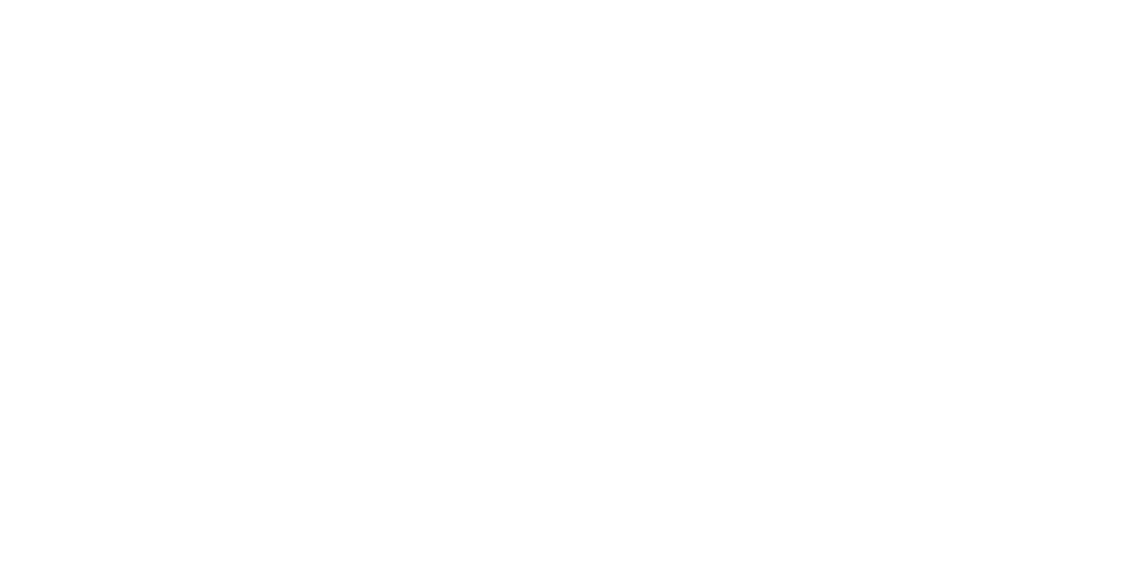 XPEL Vietnam Logo